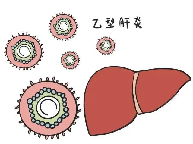 男朋友有乙肝接吻能傳染我嗎？